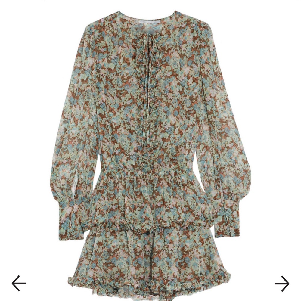 Stella McCartney Ruffled Floral Silk Georgette Mini Dress - Picture 4 of 5